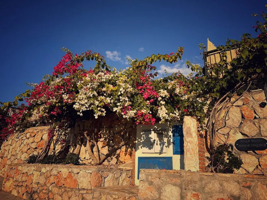 Home in Faralya
